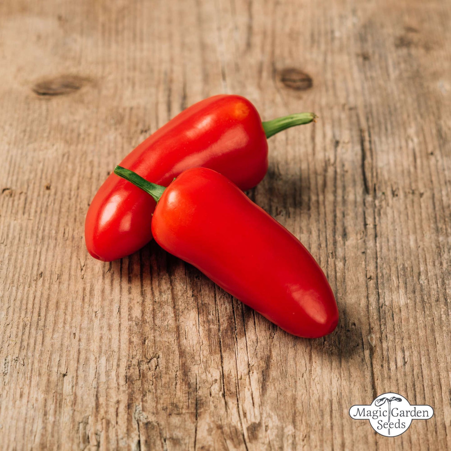 Jalapeño peper zaden biologisch