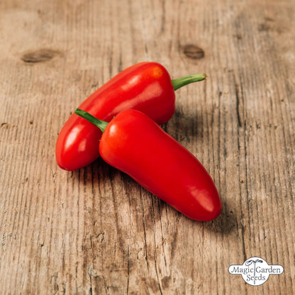 Jalapeño peper zaden biologisch