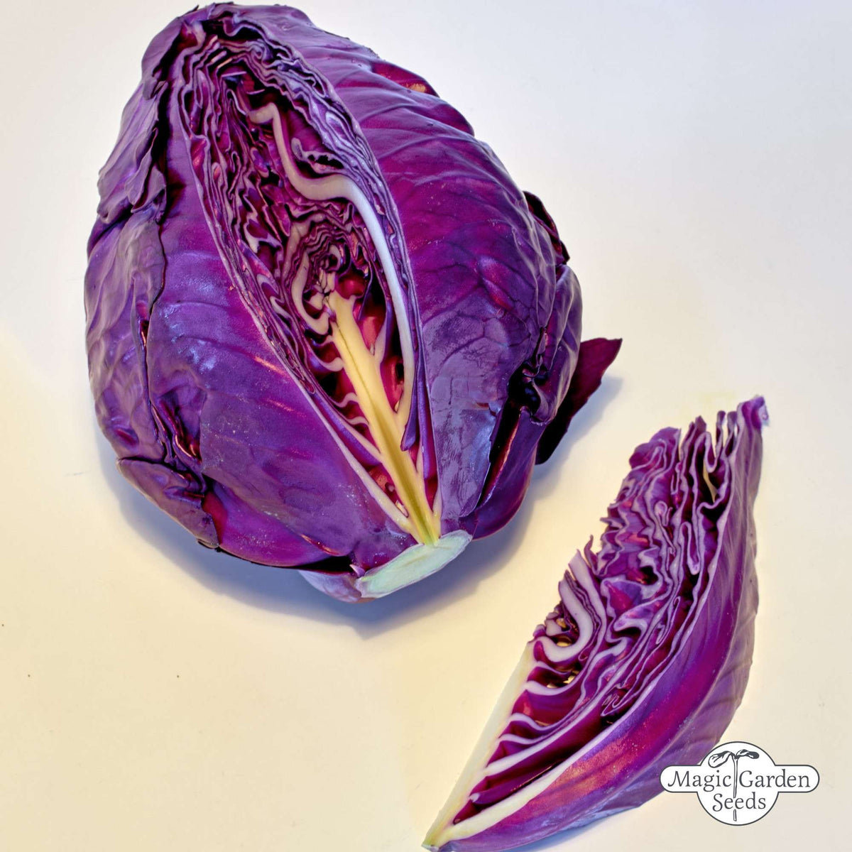 Rode spitskool 'Kalibos' zaden Biologisch - Feggies