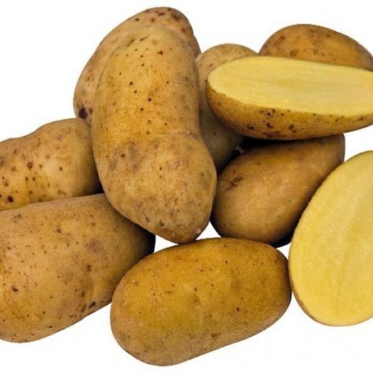 Aardappel Charlotte 1KG Biologisch (bewaarvariëteit) - Feggies