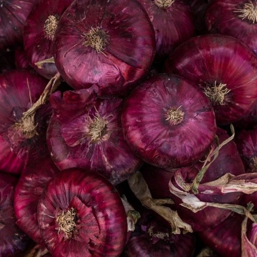 Ajuin rood van Abbeville zaden biologisch