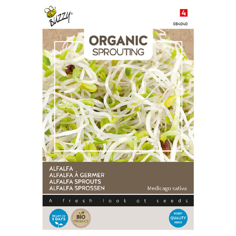 Organic sprouting alfalfa zaden