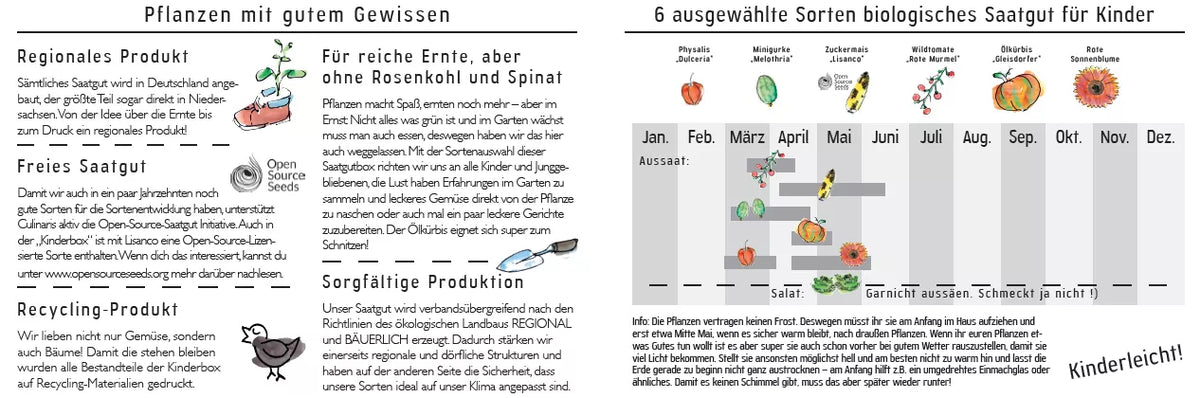 Kinderzadenbox (6 soorten) – biologische zaden - Feggies