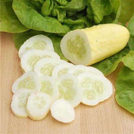 Komkommer Blanc zaden biologisch - Feggies