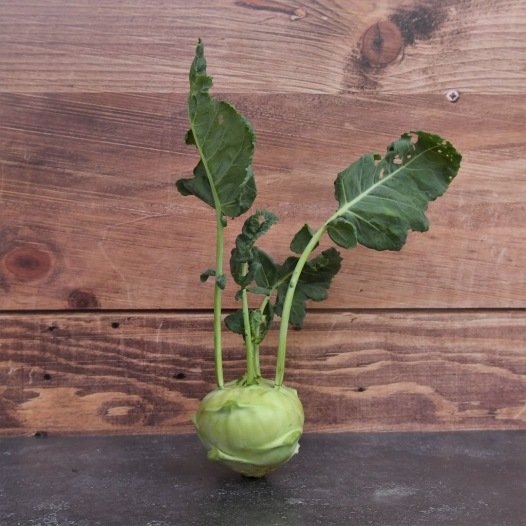 Koolrabi Delikatess wit zaden biologisch - Feggies