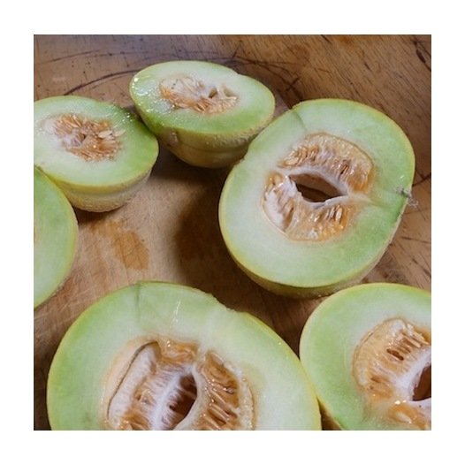 Meloen Brodé Jenny Lind zaden biologisch