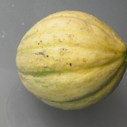 Meloen Vieille France zaden biologisch