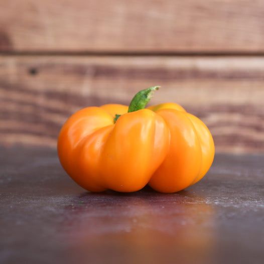 Paprika Mandarine zaden biologisch - Feggies