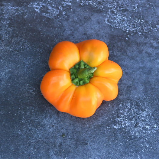 Paprika Mandarine zaden biologisch