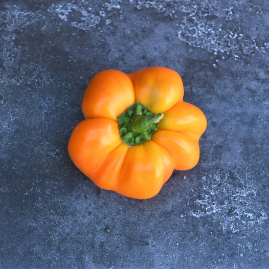 Paprika Mandarine zaden biologisch - Feggies