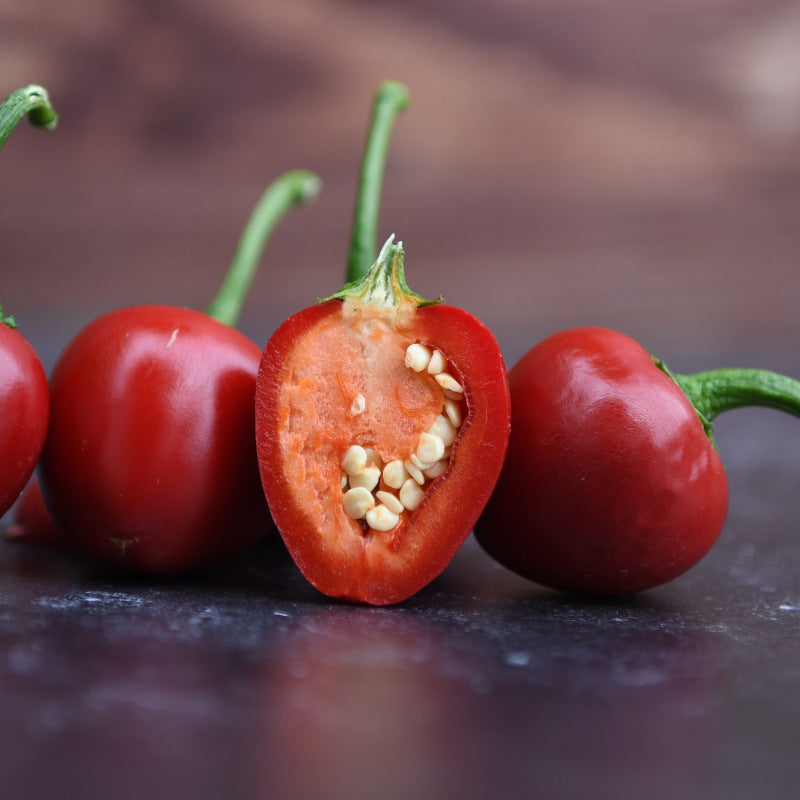 Paprika Sweet Cherry zaden biologisch