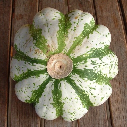 Pâtisson Panaché zaden biologisch