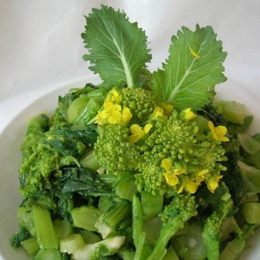 Raapstelen Cima de rapa zaden biologisch - Feggies