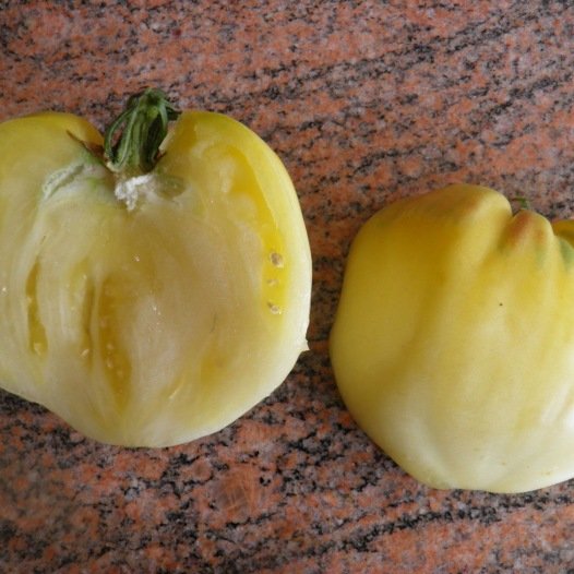 Tomaat Coeur de Boeuf Blanche zaden - Feggies
