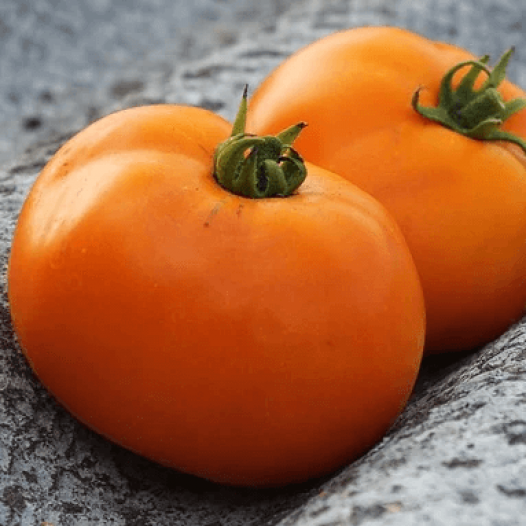 Tomaat Valencia Orange zaden - Feggies